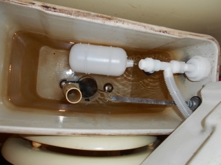 �摜(320x240)�E�g��摜(516x387)