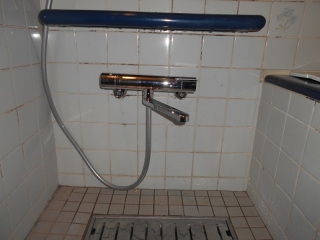 �摜(320x240)�E�g��摜(516x387)