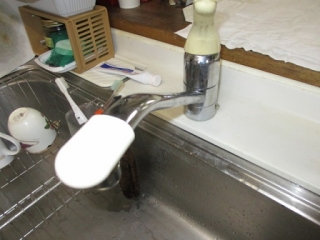 �摜(320x240)�E�g��摜(512x384)