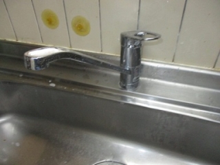 �摜(320x240)�E�g��摜(384x288)