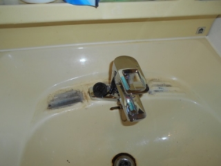 �摜(320x240)�E�g��摜(480x360)