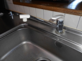 �摜(320x240)�E�g��摜(480x360)