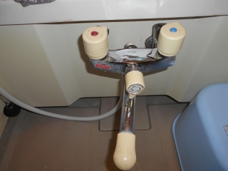 �摜(320x240)�E�g��摜(516x387)