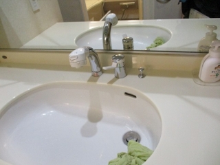 �摜(320x240)�E�g��摜(516x387)