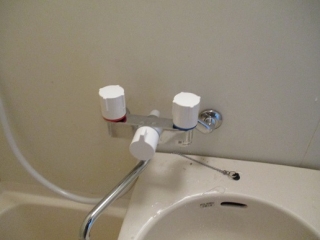 �摜(320x240)�E�g��摜(516x387)