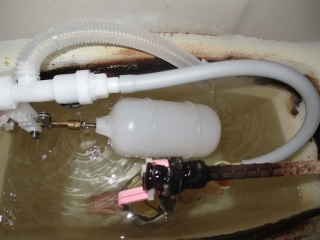 �摜(320x240)�E�g��摜(516x387)