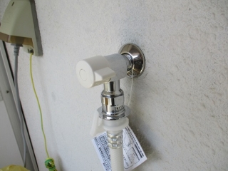 �摜(320x240)�E�g��摜(516x387)