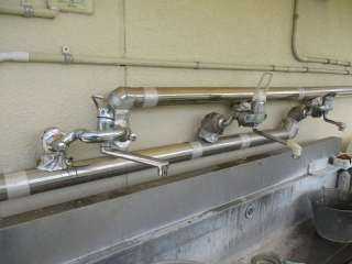 �摜(320x240)�E�g��摜(516x387)