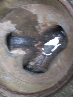 �摜(240x320)�E�g��摜(387x516)