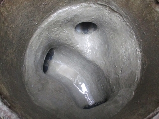 �摜(320x240)�E�g��摜(516x387)