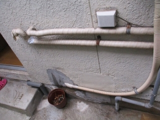 �摜(320x240)�E�g��摜(516x387)