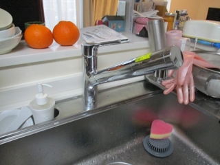 �摜(320x240)�E�g��摜(516x387)