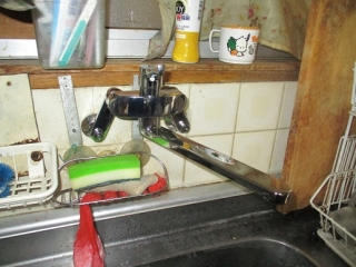 �摜(320x240)�E�g��摜(516x387)