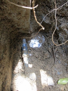 �摜(240x320)�E�g��摜(387x516)