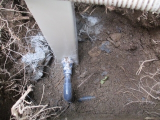 �摜(320x240)�E�g��摜(516x387)