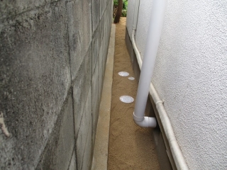 �摜(320x240)�E�g��摜(516x387)