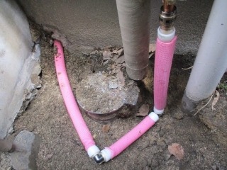 �摜(320x240)�E�g��摜(516x387)