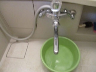 �摜(320x240)�E�g��摜(384x288)