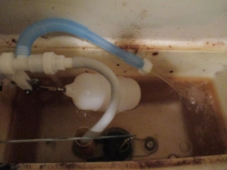 �摜(320x240)�E�g��摜(516x387)