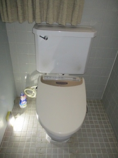 �摜(240x320)�E�g��摜(288x384)