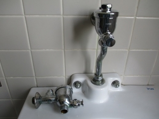 �摜(320x240)�E�g��摜(516x387)