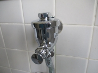 �摜(320x240)�E�g��摜(516x387)