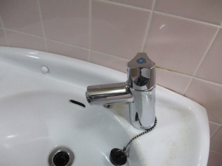 �摜(320x240)�E�g��摜(516x387)