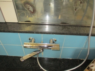 �摜(320x240)�E�g��摜(516x387)