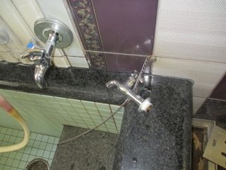 �摜(320x240)�E�g��摜(516x387)