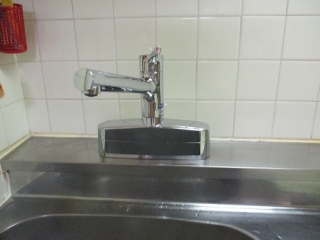 �摜(320x240)�E�g��摜(516x387)