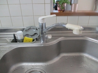 �摜(320x240)�E�g��摜(516x387)