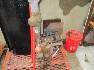 �摜(320x240)�E�g��摜(516x387)