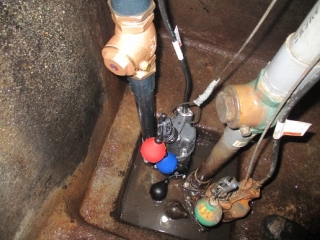 �摜(320x240)�E�g��摜(516x387)