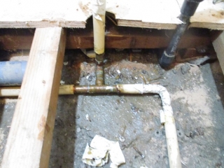 �摜(320x240)�E�g��摜(516x387)