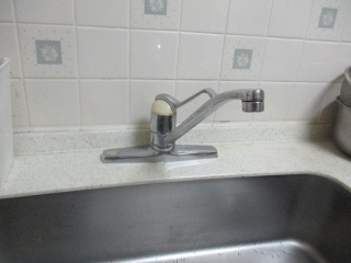 �摜(320x240)�E�g��摜(516x387)