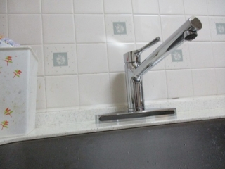 �摜(320x240)�E�g��摜(516x387)