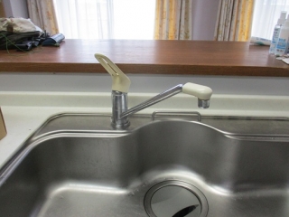 �摜(320x240)�E�g��摜(516x387)