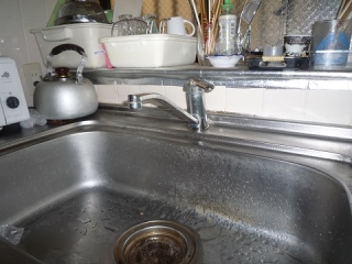 �摜(320x240)�E�g��摜(480x360)