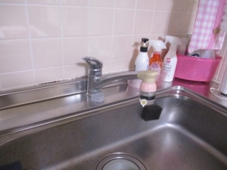 �摜(320x240)�E�g��摜(516x387)