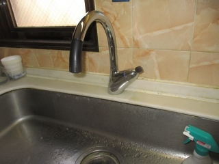 �摜(320x240)�E�g��摜(516x387)