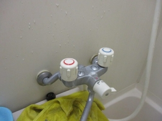 �摜(320x240)�E�g��摜(448x336)