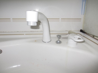 �摜(320x240)�E�g��摜(516x387)