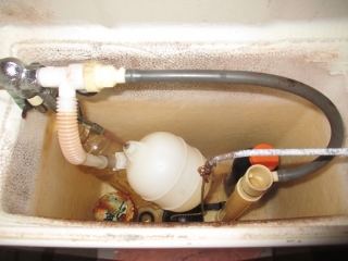 �摜(320x240)�E�g��摜(516x387)