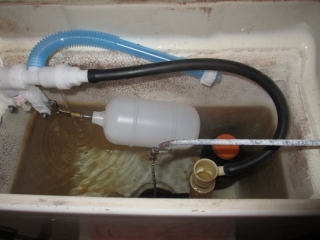 �摜(320x240)�E�g��摜(516x387)