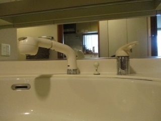 �摜(320x240)�E�g��摜(384x288)