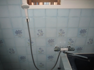 �摜(320x240)�E�g��摜(516x387)