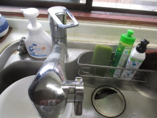 �摜(320x240)�E�g��摜(516x387)