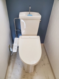 �摜(240x320)�E�g��摜(454x605)