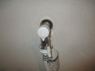 �摜(320x240)�E�g��摜(516x387)