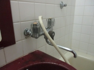 �摜(320x240)�E�g��摜(384x288)